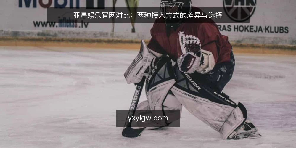 亚星娱乐官网对比:两种接入方式的差异与选择 — 为什么现在需要审计接入方式 配图