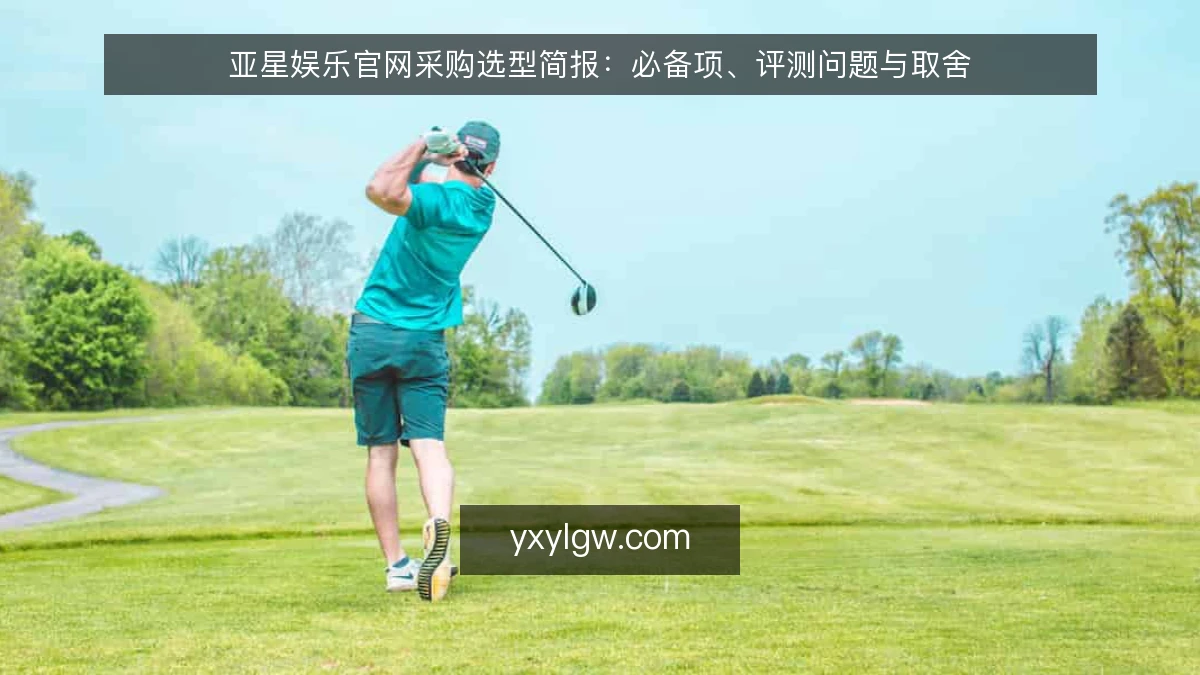 亚星娱乐官网采购选型简报:必备项、评测问题与取舍