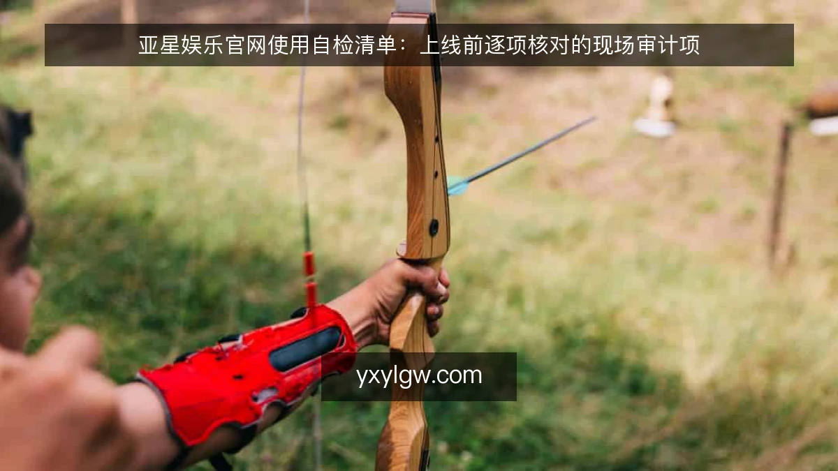 亚星娱乐官网使用自检清单：上线前逐项核对的现场审计项