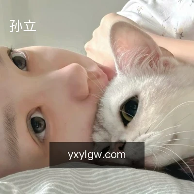 孙立